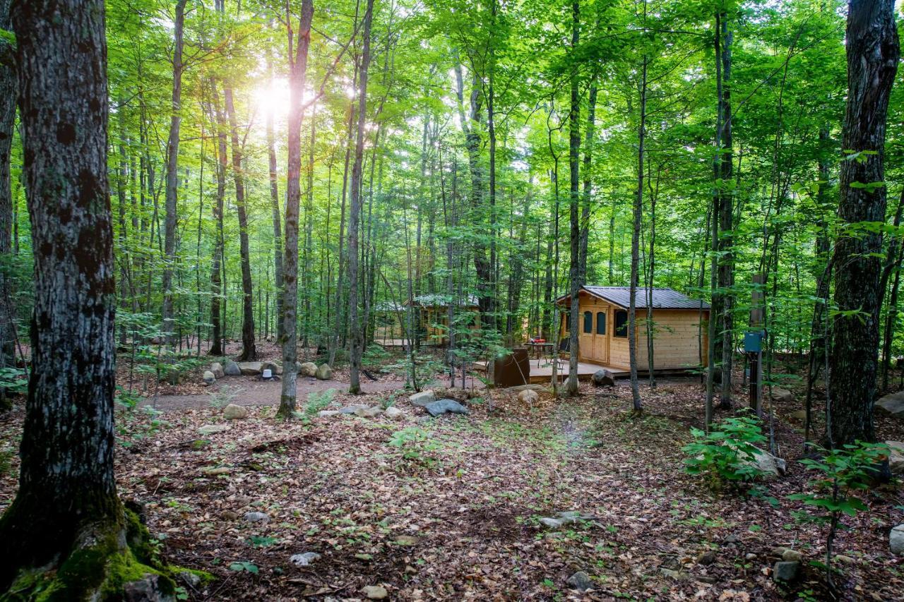 Madawaska Lodge-Cottage Екстериор снимка