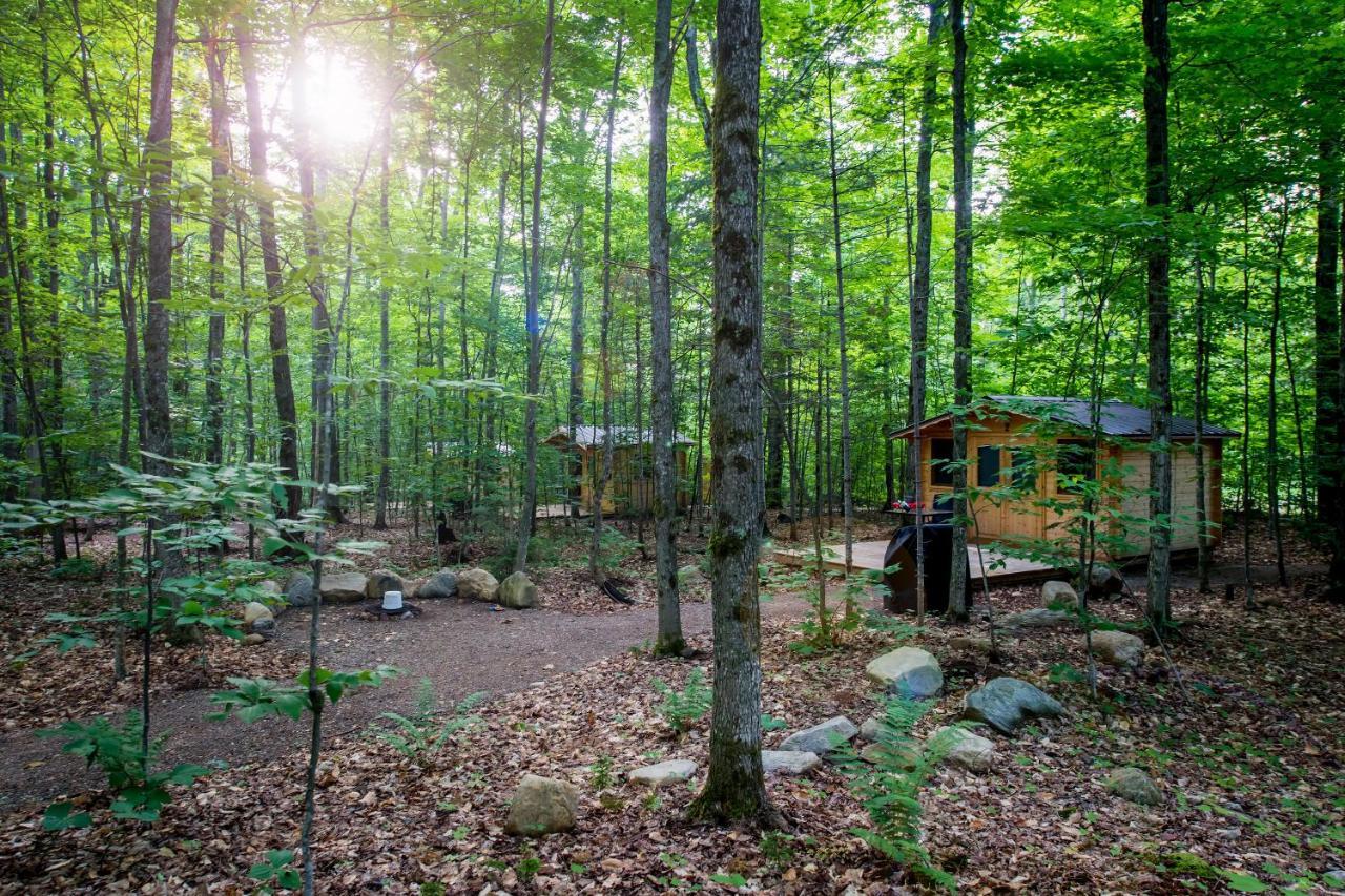 Madawaska Lodge-Cottage Екстериор снимка